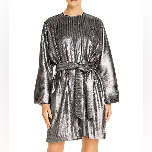 Anine Bing Dresses & Skirts - Anine Bing Angie Balloon-Sleeve Matte Sequin Dress